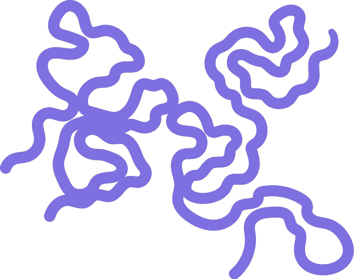 Squiggle 01